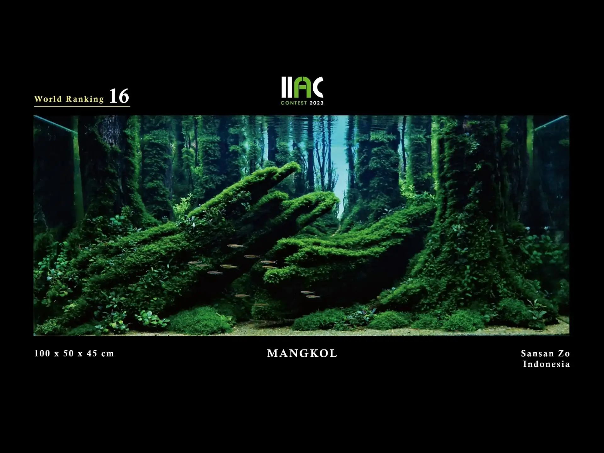MANGOL - IIAC 2023 #16 Camp Zo / Indonesia